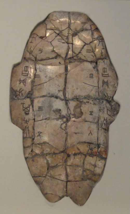 “最古老文字”龟骨片至少有八千多年