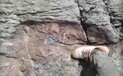 發現巨大腳印疑為史前巨人所留(圖)