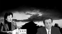女版曾慶紅再失重要職務背後「大老虎」隱現(圖)