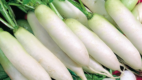 經常食用白蘿蔔可以補氣養血，預防肌膚老化。