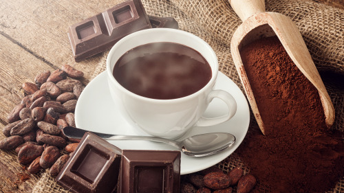 黑巧克力的抗氧化剂来自可可豆。