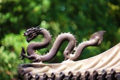 中国龙非虚构史籍有确实记载(图)