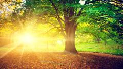 轮回转世生命永存的证据：生从何处来死向何处去(图)