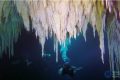 墨西哥发现世界最大水底洞穴(视频)