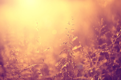 濒死体验：元神离体的真实例子(图)