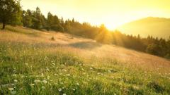 輪迴轉世生命永存的證據：雙胞胎姊妹(圖)