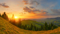 轮回转世生命永存的证据：罗伯塔・摩根(图)