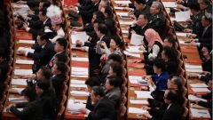全國人大「台灣代表」名單出爐多生在大陸(圖)