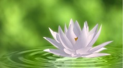 人生拚搏過程中就是要「經營自己」(圖)