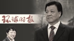 新年伊始胡錫進嘆變「孤魂野鬼」(組圖)