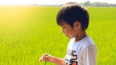 神奇的意念：安慰剂效应(图)