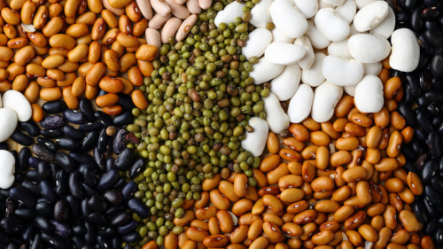 很多人每天都吃穀物、蔬菜和水果，卻偏偏忽略了一類食材——豆類。