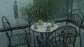 【天雪】夏夜随笔长相思･花雨(组图)