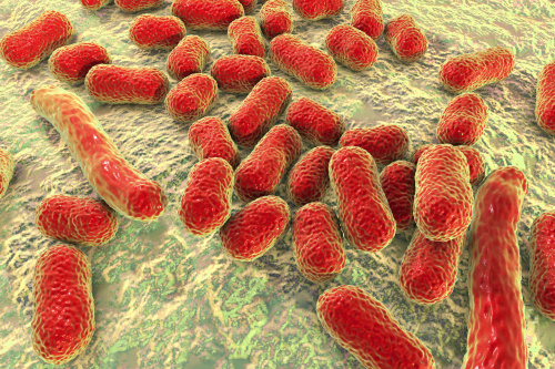 细菌演变的速度远远快过新抗生素研制的速度。