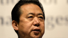 看客：孟宏伟到底是谁的人(图)