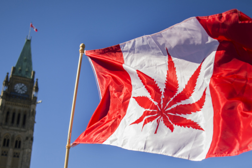 2016年4月20日，在加拿大渥太華國會大廈前慶祝國家大麻日的活動上，有人舉著印有「大麻葉」的加拿大國旗。