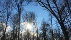 我们生活的世界其实不是真实的(图)