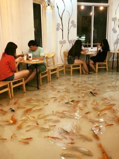 問你見過嗎如夢似幻的魚塘咖啡館(組圖)