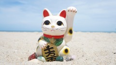 在日本垃圾堆裡為什麼經常會撿到成捆的現金(圖)