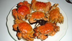 傳比利時大閘蟹氾濫欲運到中國網友興奮：料酒已備好(圖)