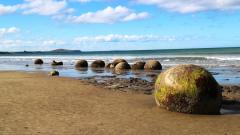 仿佛有生命的各种奇石(图)