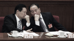 前“新疆王”卸任一重要职务陆媒罕见删文(图)
