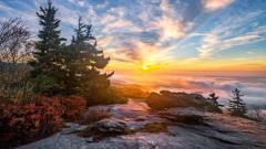 科学解释不了的修炼奇迹(图)