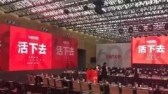 房地產硝煙過後：倖存的螞蟻……(圖)