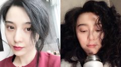 范冰冰被逮細節曝光事件告一段落(組圖)
