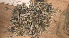 千元美金扔碎紙機2歲「熊孩子」好心幫倒忙(組圖)