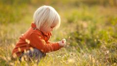 男童记得前世查证结果令人震惊(图)