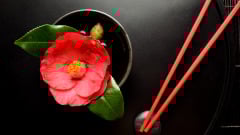 传统筷子12种禁忌要避免你用对了吗(组图)