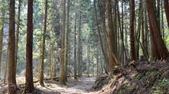 矢志寻父孝心至诚排除万难终达目的(图)