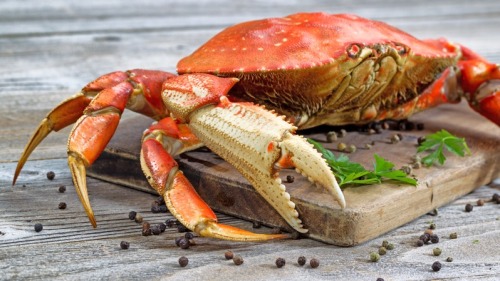 螃蟹体表和体内含有大量细菌和毒素，清洗不干净会危害身体健康。