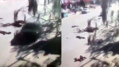 村官儿子驾车撞向学童致20多人死伤官方称随机杀人(图)