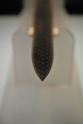 古代神兵越王勾踐劍的奇異之處(圖)