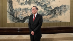 王岐山会见墨西哥外长自认“礼仪式”角色引揣测(图)