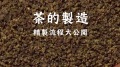 茶有分粗細茶的精製流程大公開(視頻)