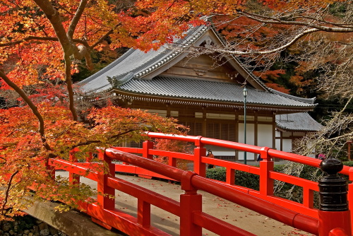 日本是世界上红叶最美丽的国家之一。