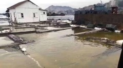 福建泉州警方就女記者採訪碳九泄漏遭查房抓嫖而道歉(圖)