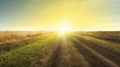 母親咬出的牙痕下世投胎還帶來奇不奇(圖)