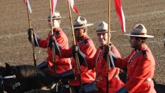 加拿大皇家騎警送外賣了不過你敢叫嗎(圖)