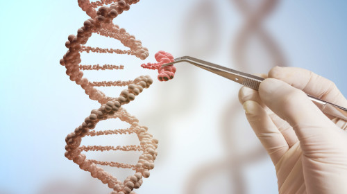 中研院学者凌嘉鸿表示，目前两人开发出主流的基因编辑工具CRISPR/Cas9，可说是一把DNA剪刀，将来可望根治基因疾病。
