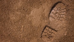 2亿年前的脚印是谁踩上去的(图)