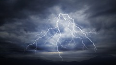 兒時殘害小鳥長大禍延兒孫(图)