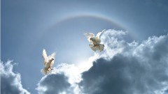 法醫寫完死亡筆記感慨「善惡有報」（上）(組圖)