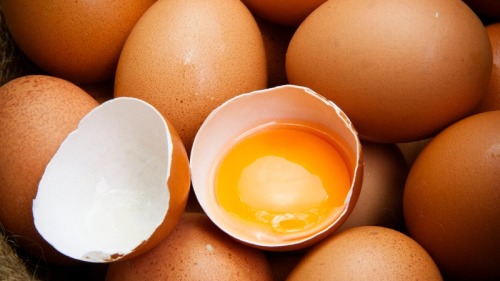 雞蛋中含有大量卵磷脂，是維持記憶和思維的物質。