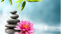 厚道是最好的生意經(圖)