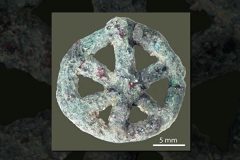 挪威冰山发现6000年前古文明(視頻)