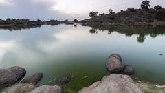 为“石头开花”解谜(图)